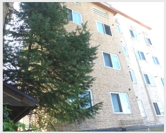  2024Ÿ109020    70, 2203ȣ (,ϼ)     ټ,