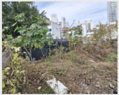  2024Ÿ��109662 ��� �Ⱦ�� ���ȱ� ȣ�赿 843-3      ����(��1)���