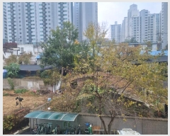  2024Ÿ��109662 ��� �Ⱦ�� ���ȱ� ȣ�赿 843-3      ����(��1)���