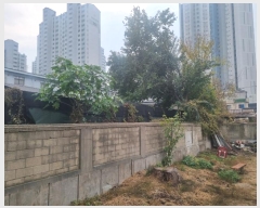  2024Ÿ��109662 ��� �Ⱦ�� ���ȱ� ȣ�赿 843-3      ����(��1)���