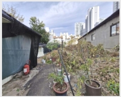  2024Ÿ��109662 ��� �Ⱦ�� ���ȱ� ȣ�赿 843-3      ����(��1)���