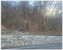  2024Ÿ��2440  �Ӿ߰��