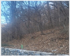  2024Ÿ��2440  �Ӿ߰��