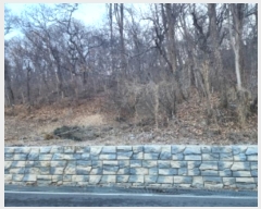  2024Ÿ��2440  �Ӿ߰��