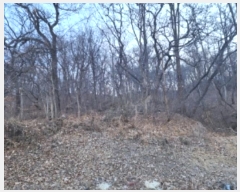  2024Ÿ��2440  �Ӿ߰��