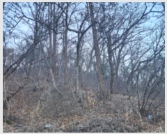  2024Ÿ��2440  �Ӿ߰��