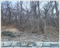  2024Ÿ��2440  �Ӿ߰��