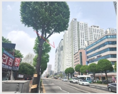  2024Ÿ��102920  ���ǽ��ڰ��