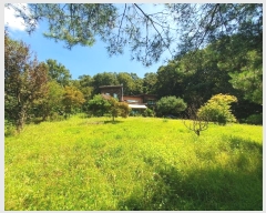  2024Ÿ106410  õ õ 390       ܵ,ð