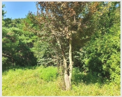  2024Ÿ106410  õ õ 390       ܵ,ð