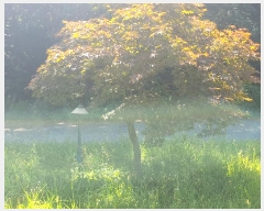  2024Ÿ��106410  ����