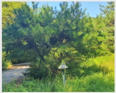  2024Ÿ��106410  ����