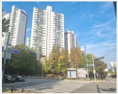  2024Ÿ109136   꺻õ 33, 706 121201ȣ (꺻,ְ7츤Ʈ)    Ʈ