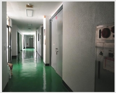  2024Ÿ109426    82-7, 2204ȣ (,ǳ)     Ʈ