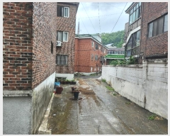  2024Ÿ1423  Ⱦ ȱ Ʒ72 30-24, 4ȣ     ټ,