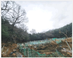  2024Ÿ��107598  �Ӿ߰��