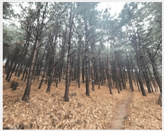  2024Ÿ��107598  �Ӿ߰��