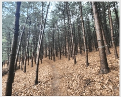  2024Ÿ��107598  �Ӿ߰��