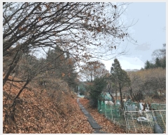  2024Ÿ��107598  �Ӿ߰��