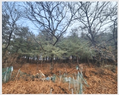  2024Ÿ��107598  �Ӿ߰��