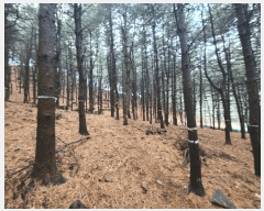  2024Ÿ��107598  �Ӿ߰��