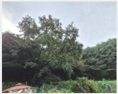  2024Ÿ��107598  �Ӿ߰��