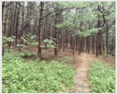  2024Ÿ��107598  �Ӿ߰��