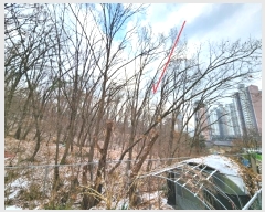  2024Ÿ��110273 ��� �Ⱦ�� ���ȱ� ��굿 ��185      ����(�Ӿ�)���