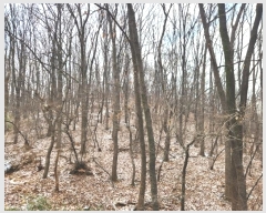  2024Ÿ��110273 ��� �Ⱦ�� ���ȱ� ��굿 ��185      ����(�Ӿ�)���