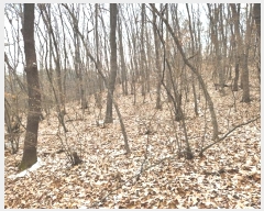  2024Ÿ��110273 ��� �Ⱦ�� ���ȱ� ��굿 ��185      ����(�Ӿ�)���