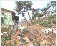  2024Ÿ��110273 ��� �Ⱦ�� ���ȱ� ��굿 ��185      ����(�Ӿ�)���