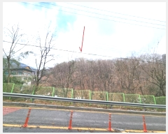  2024Ÿ��110273 ��� �Ⱦ�� ���ȱ� ��굿 ��185      ����(�Ӿ�)���