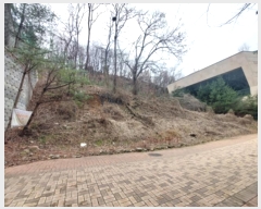  2024Ÿ101682  ǿս  236-27       (Ӿ)