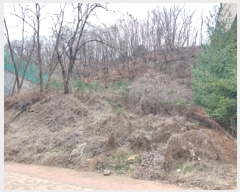  2024Ÿ101682  ǿս  236-27       (Ӿ)