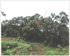  2024Ÿ��108539  �Ӿ߰��