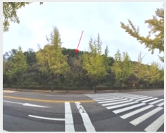  2024Ÿ��108539  �Ӿ߰��