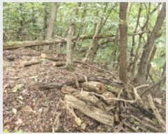  2024Ÿ��108539  �Ӿ߰��