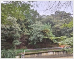  2024Ÿ��108539  �Ӿ߰��