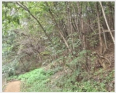  2024Ÿ��108539  �Ӿ߰��