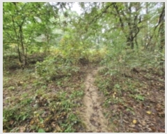  2024Ÿ��108539  �Ӿ߰��