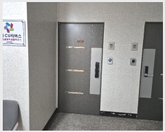  2024Ÿ110815  Ⱦ ȱ  1, 5502ȣ (Ⱦ絿,Ƽ)    ǽڰ