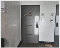  2024Ÿ110815  Ⱦ ȱ  1, 5502ȣ (Ⱦ絿,Ƽ)    ǽڰ