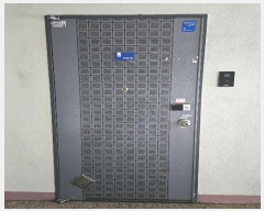  2024Ÿ2037 λ ϱ ݰ 268, 303 161601ȣ (ȭ,ȭ븲Ÿ)    Ʈ