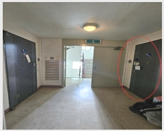  2024Ÿ2037 λ ϱ ݰ 268, 303 161601ȣ (ȭ,ȭ븲Ÿ)    Ʈ