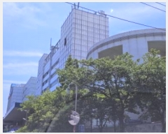  2024Ÿ2167 λ   7, 44386ȣ (,׽ö)     ,繫ǰ