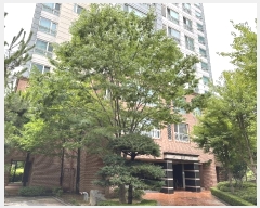  2024Ÿ2914 λ  ǽƼ11 51, 317 1102ȣ (, 1 νŸ Ÿ) Ʈ