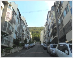  2024Ÿ��3313  ����Ʈ���