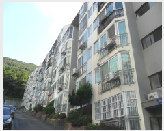  2024Ÿ��3313  ����Ʈ���