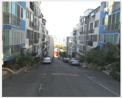  2024Ÿ��3313  ����Ʈ���