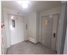  2024Ÿ3368 λ ϱ õ 182, 201 141406ȣ (,Ÿ)    Ʈ